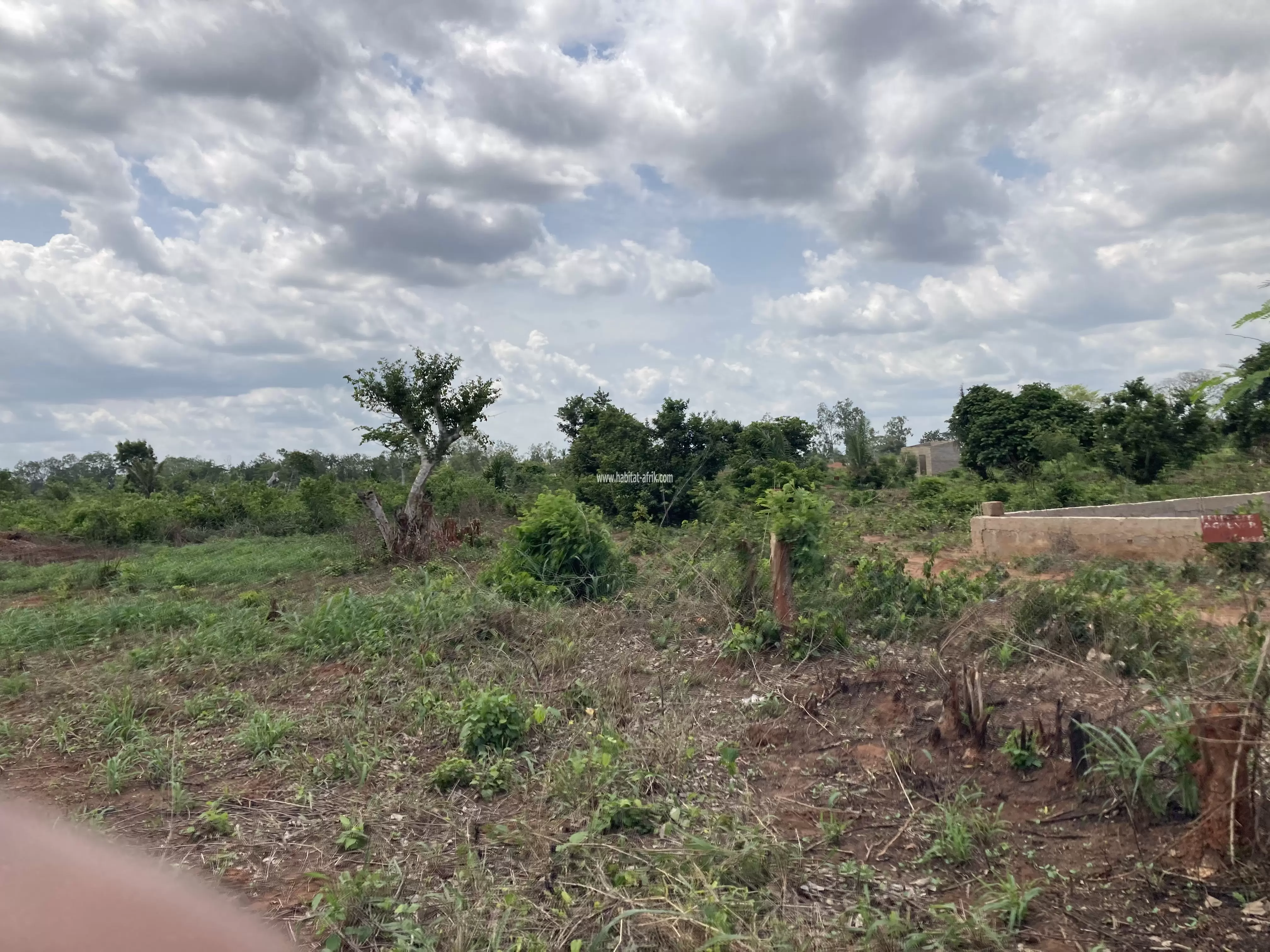 Je mets en vente une parcelle de terrain agricole fertile à assanhoun ando 8km du boulevard N’5 lome kpalime