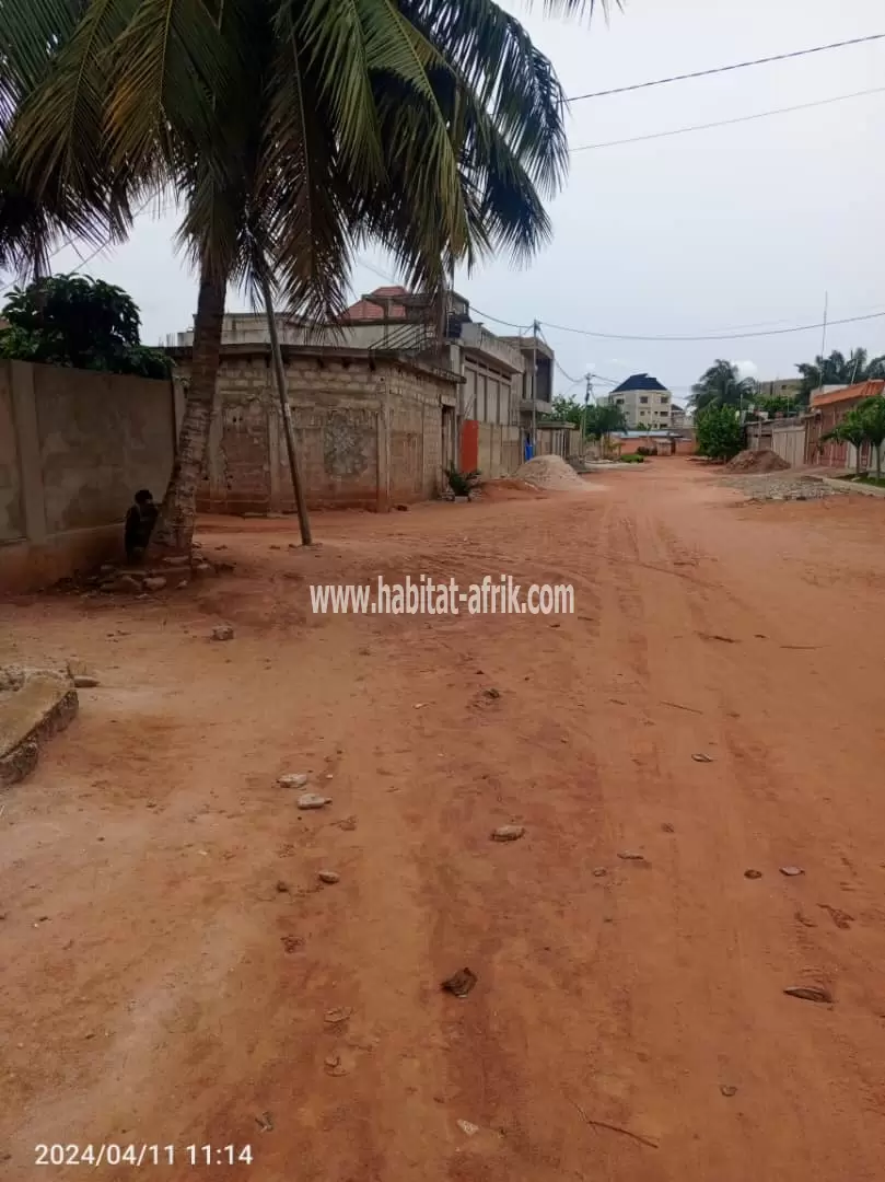 Je mets en vente une parcelle de terrain un lot clôturé avec titre foncier à adidogome amadanhome foyer des jeunes lome togo