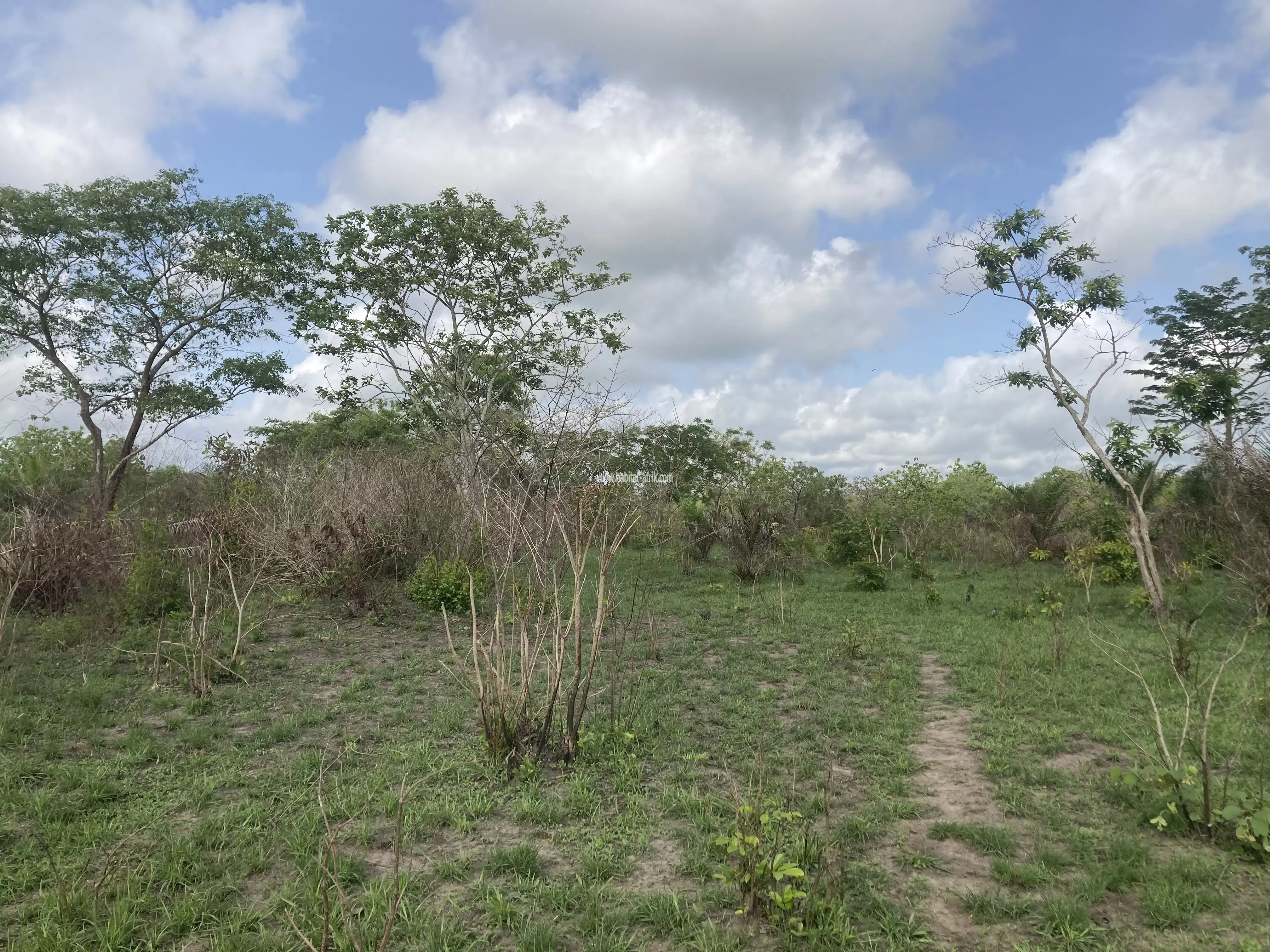 Je mets en vente des lot à Akepe 350m du peage lome togo