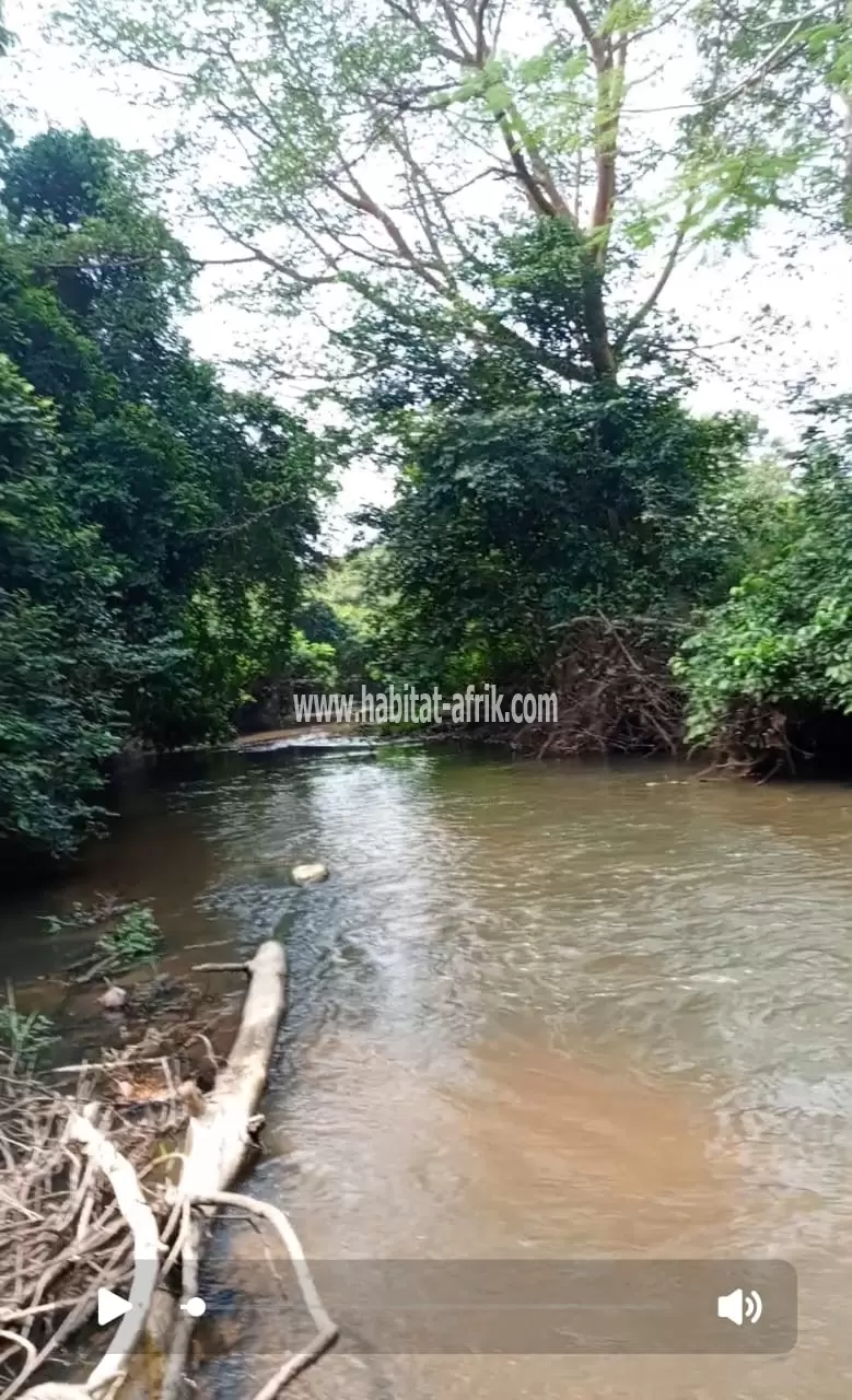 Je mets en vente des parcelles de terrain agricoles au bord du fleuve zion a 2km du marché de kati kpalime togo