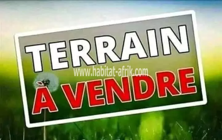 Je mets en vente une parcelle de terrain un lot clôturé au bord du goudron avenou lome togo