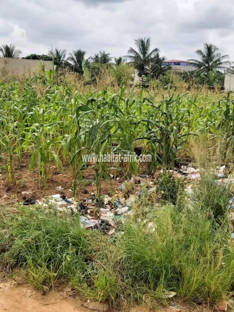 Je mets en vente une parcelle de terrain un lot a adidogome gbomame catholique lome togo