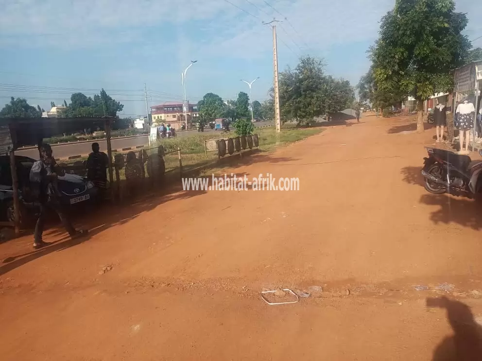 Je mets en vente une parcelle de terrain demi lot au bord du goudron agoe demakpoe avec une boutique et quatre (4) fois pièce lome togo