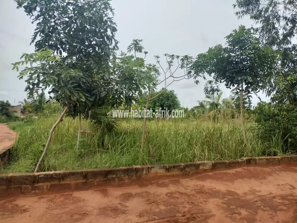 Je mets en vente une parcelle de terrain cinq (5) lots collé au bord du goudron qui mene vers usine de gaz zanguera lome togo