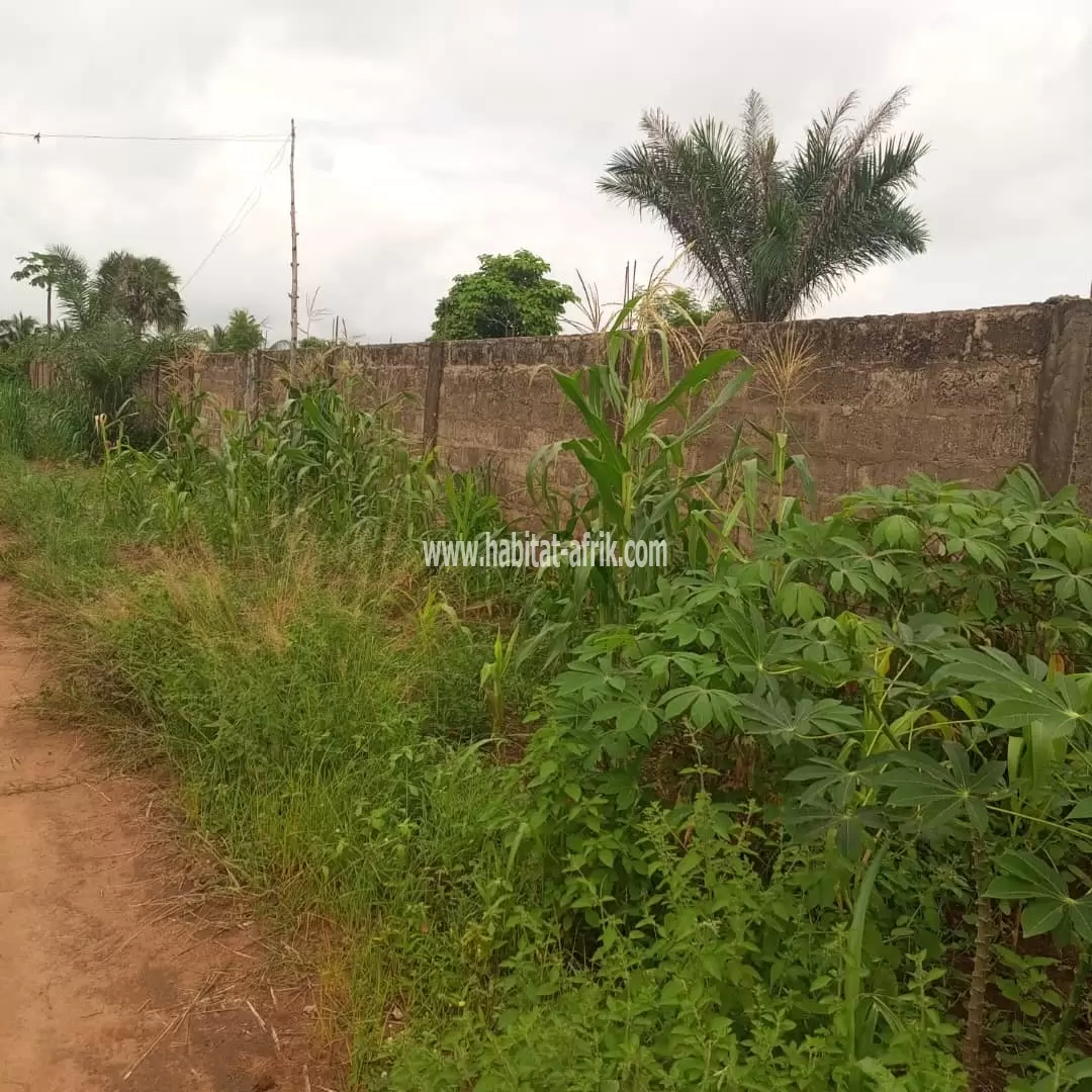 Je mets en vente une parcelle de terrain demi lot clôturé à amendéta cour primaire lome togo