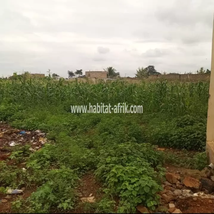 Je mets en vente une parcelle de terrain demi lot vide à 150m du goudron Legbassito antenne moov Lomé togo 