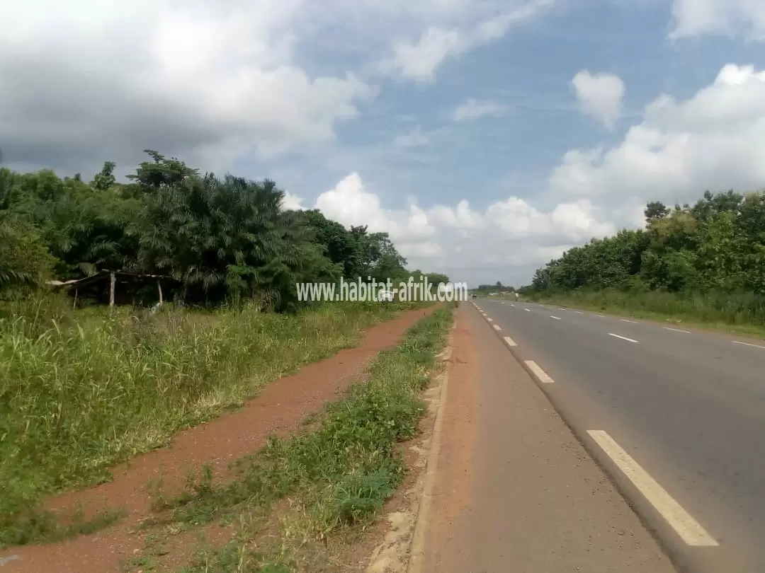 Je mets en vente jne parcelle de terrain quatre (4) lots collés au bord du goudron bagbe apres noepe togo