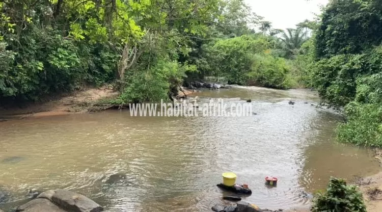 Je mets en vente une parcelle de terrain agricoles plus de 50 hectares a 4km du marché de kati et 14km du goudron notsè monou sur le boulevard N’5 LOME Kpalimé 