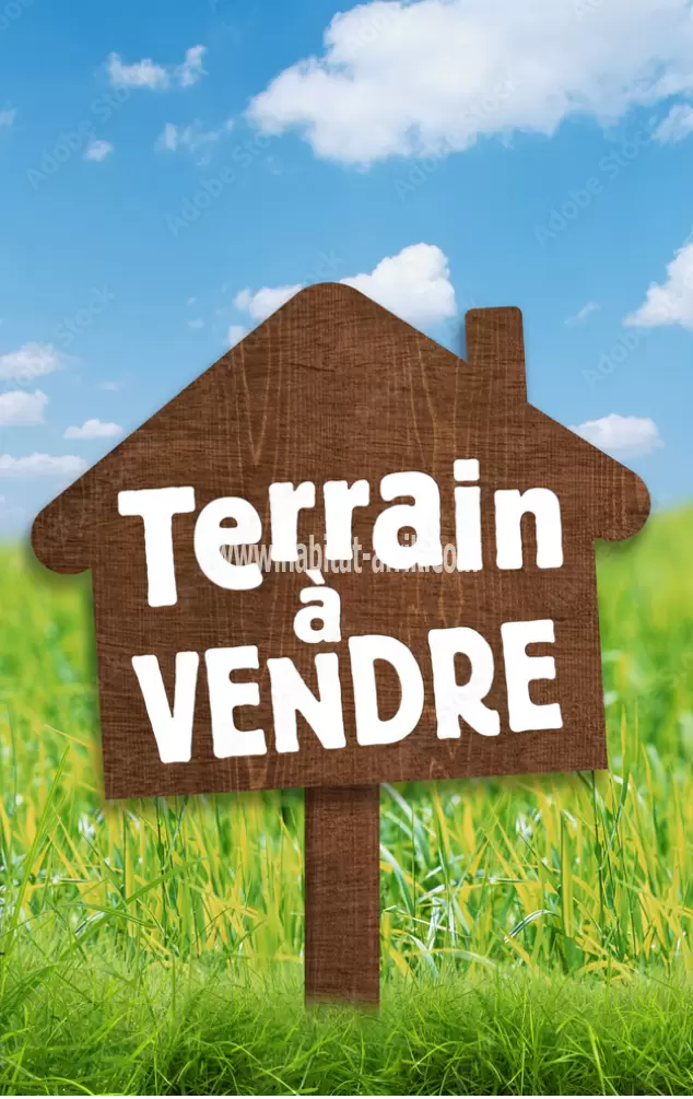 Je mets en vente une parcelle de terrain deux 2?? lot collés avec titre foncier en angle de rue sur deux goudron à kegue lome togo 