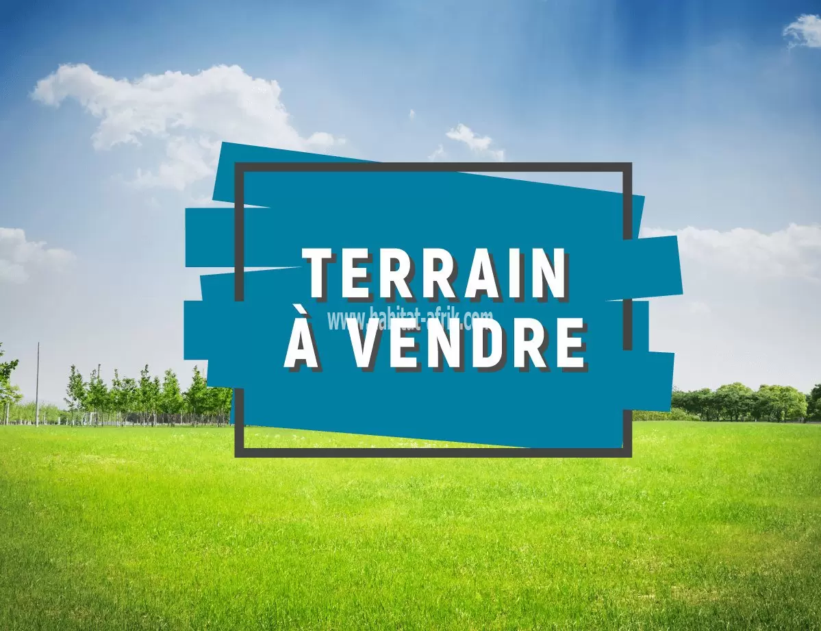 Je mets en vente une parcelle de terrain un lot à 650m du goudron avedji coconut lome togo 