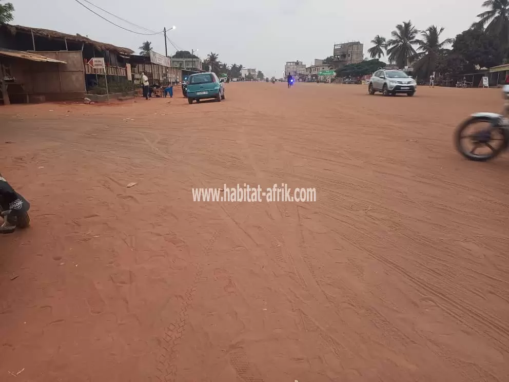 Je mets en vente une parcelle de terrain 1 lot en angle de rue et au bord d’une rue de 50 mètres située à Amadanhome rail lome togo