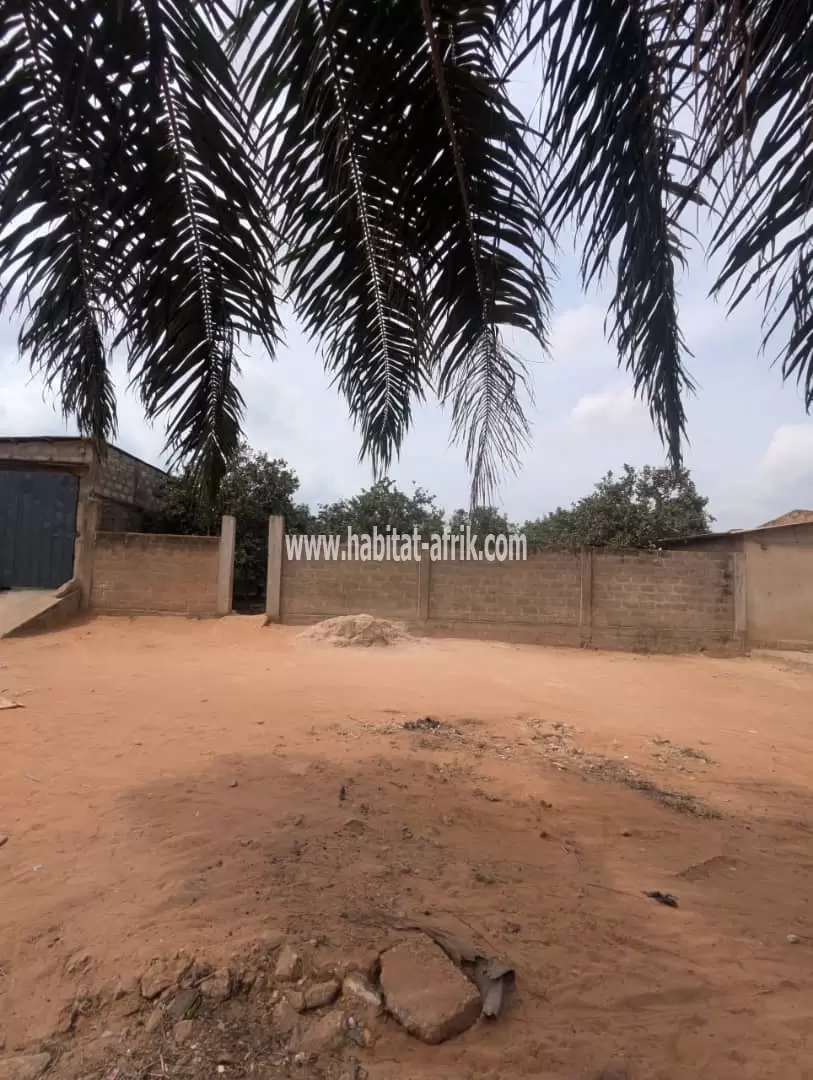 Je mets en vente une parcelle de terrain deux (02) lot colle avec titre foncier a segbe derrière la station essence energium lome togo