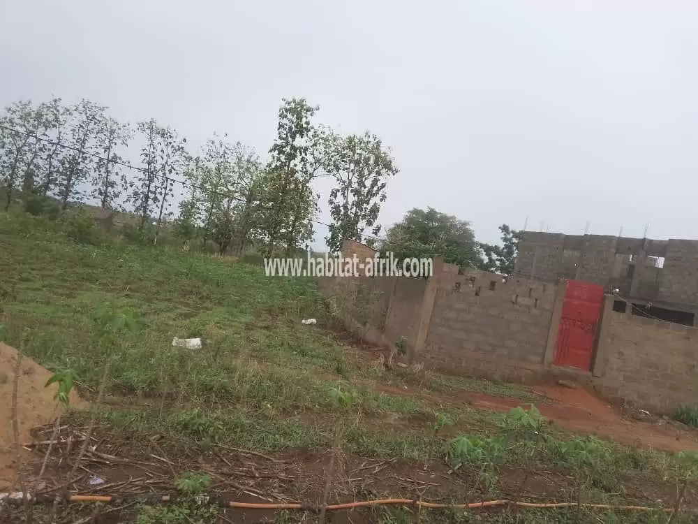 Je mets en vente une parcelle de terrain demi lot à akepedo zanguera lome togo