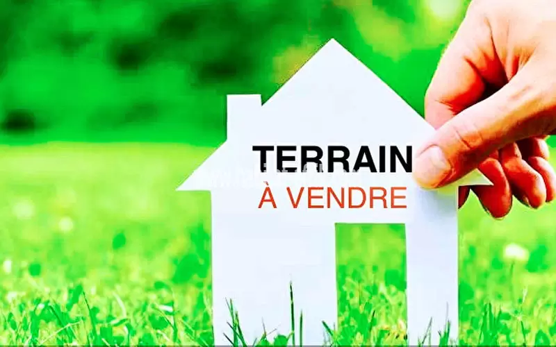 Parcelle 2000 m2 avec TF à Calavi à vendre 