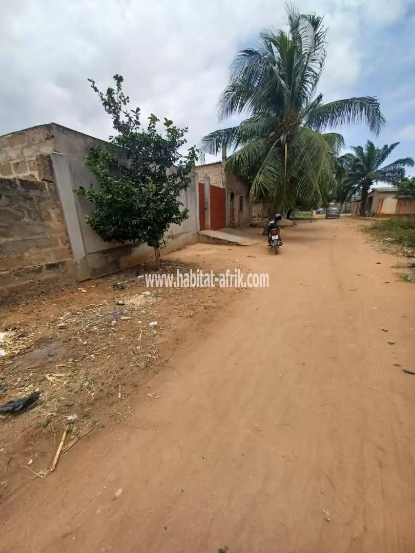 A VENDRE   Un (1) Lot De Terrain a Adidogome Gbomamé,  Non loin de l'église catholique notre dame du mont carmel  Prix de vente: 20millions le lot  A débattre pour urgence.  Papiers : Plan, 1 tampon Otr(Titre foncier en cours)..  