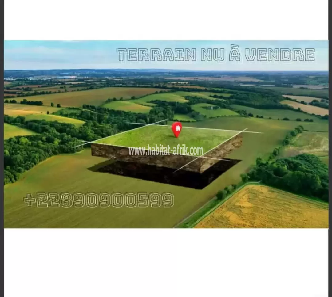 DEMI LOT (300m²) À VENDRE DANS L'ANGLE RUE À ZANGUERA 