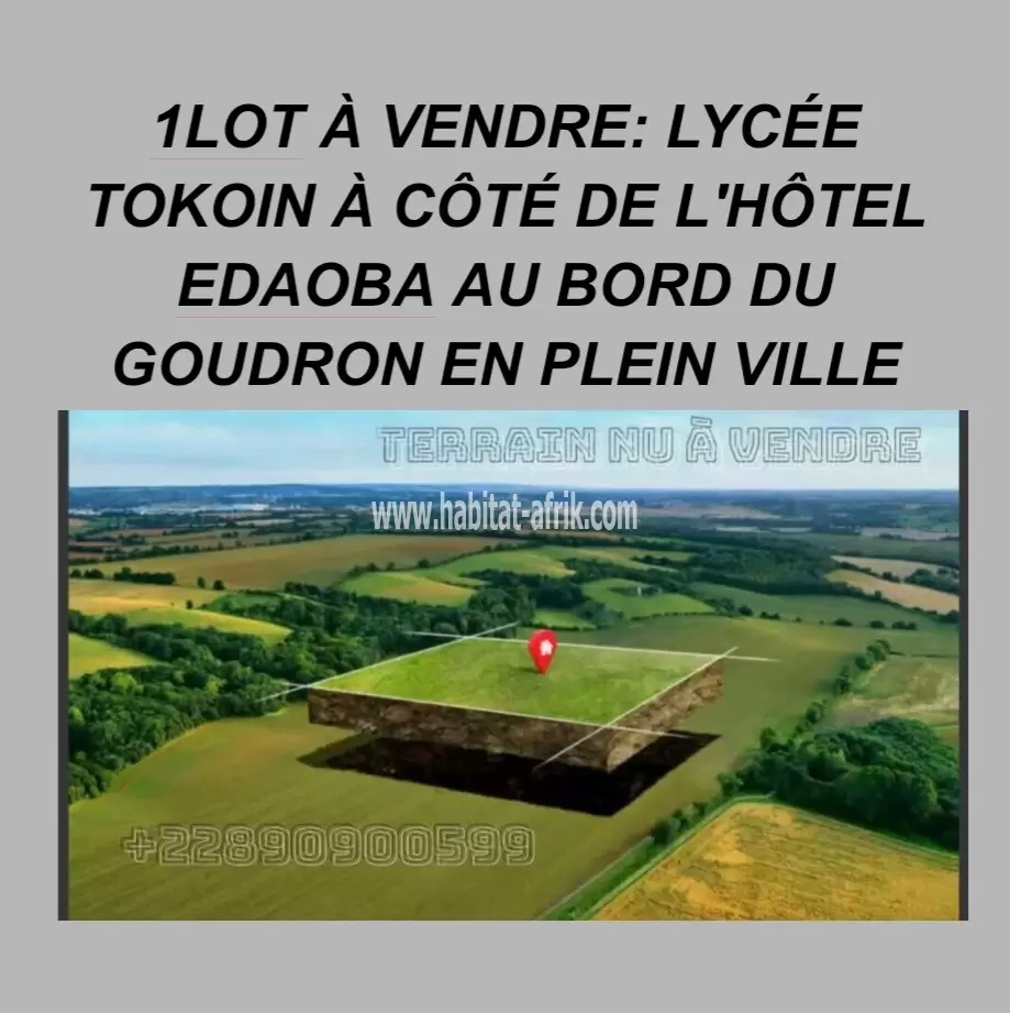 UN (01) LOT À TOKOIN AU BORD DU GOUDRON 