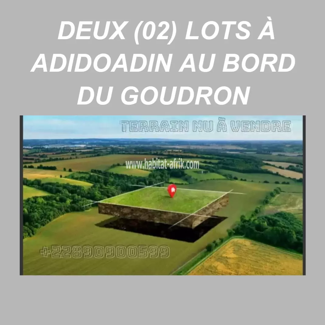 À VENDRE 2 LOTS COLLÉS AU BORD DU GOUDRON À ADIDOADIN