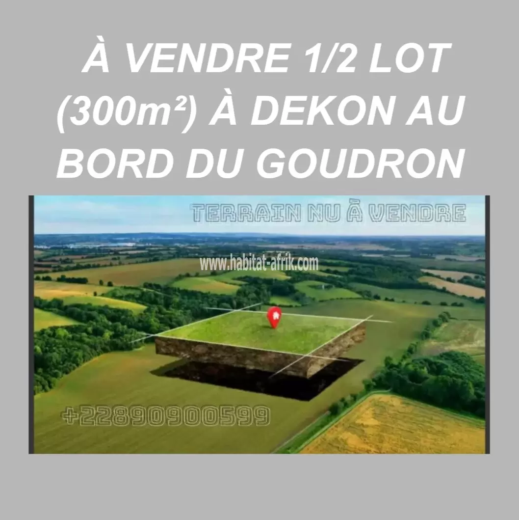 À VENDRE 1/2 LOT (300m²) À DEKON AU BORD DU GOUDRON