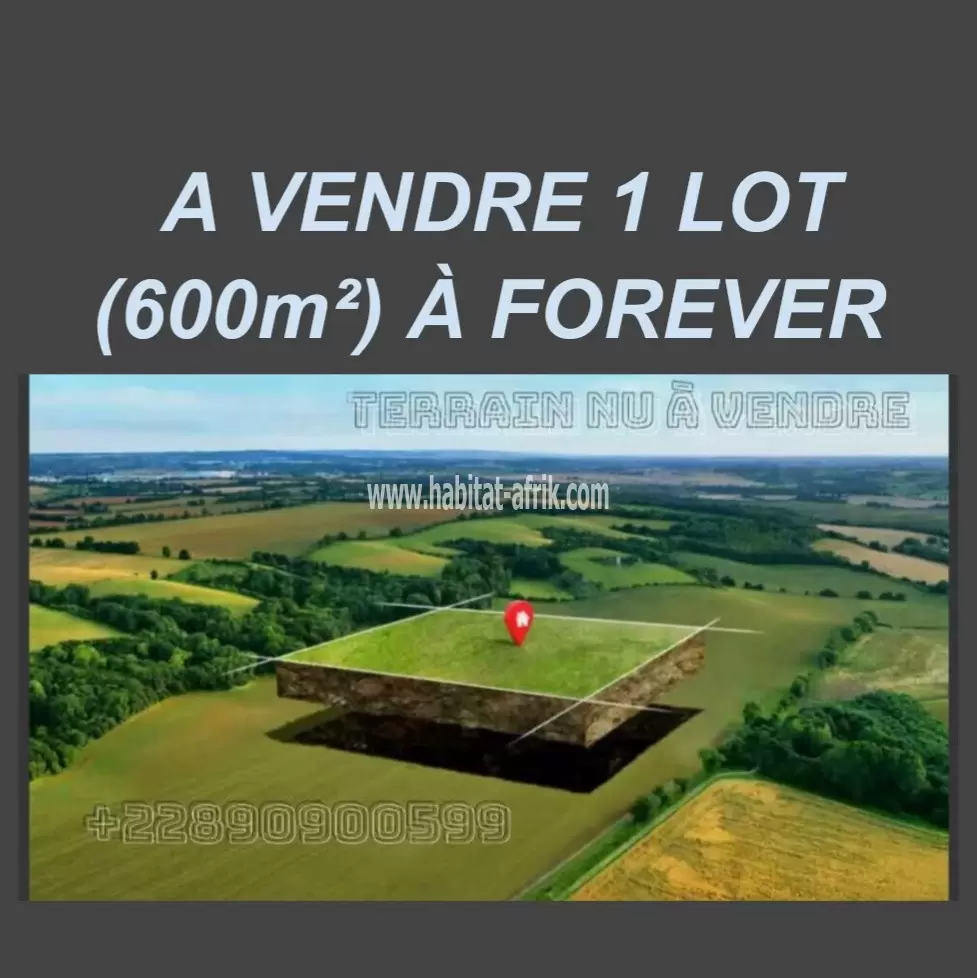 A VENDRE 1 LOT (600m²) À FOREVER À 20m DU GOUDRON 