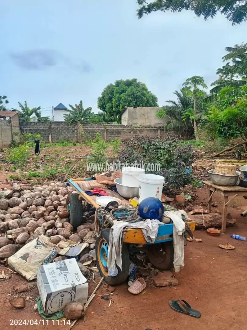 Je mets en vente une parcelle de terrain un lot clôturé avec titre foncier à adidogome amadanhome foyer des jeunes lome togo