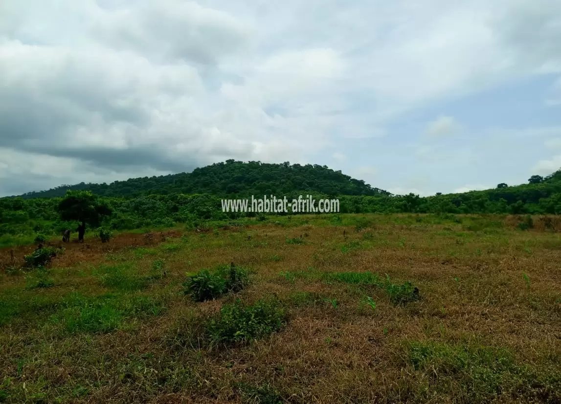 Je mets en vente des parcelles de terrain agricoles au bord du fleuve zion a 2km du marché de kati kpalime togo