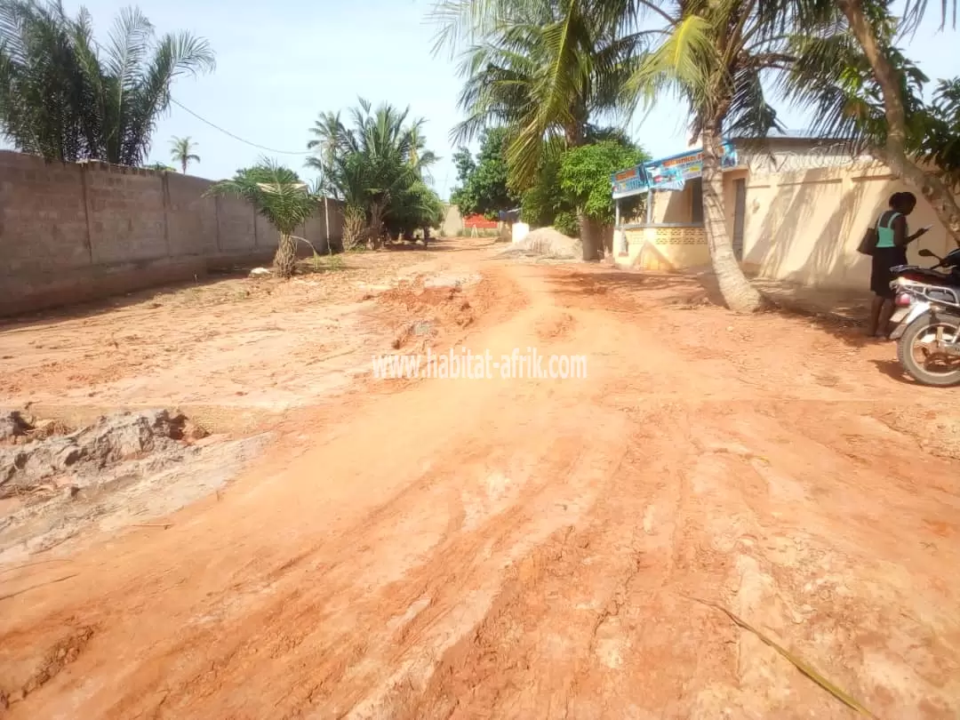 Je mets en vente une parcelle de terrain un (1) lot a 200 mètres vue direct sur goudron akepedo vers nouveau peage lome togo