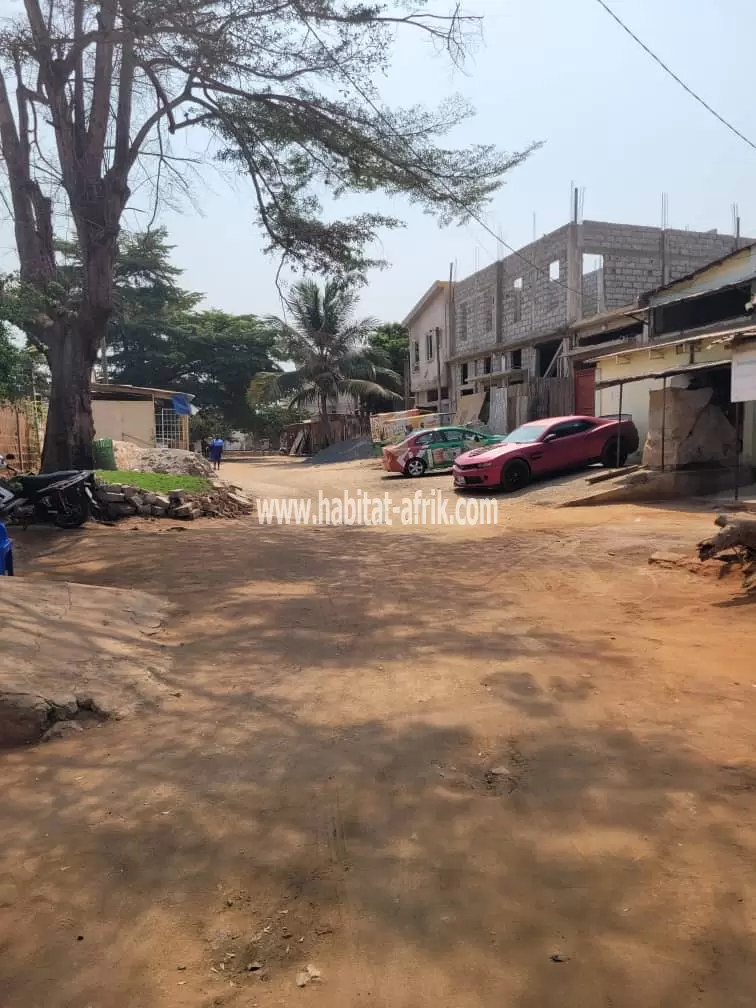Je mets en vente une parcelle de terrain 1lot 1/4 clôturé à djidjolé OBUT juste 500 mètres du goudron lome togo