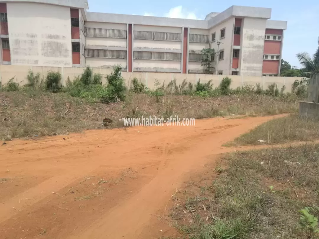 Deux parcelles Loties à vendre à Ouidah derrière le Lycée des Filles CEG1 