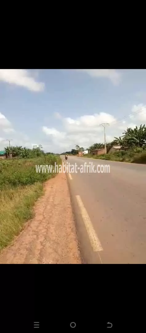 PARCELLE AU BORD DU GOUDRON À VENDRE À TORI AZOHOUÈ-ALIHO 