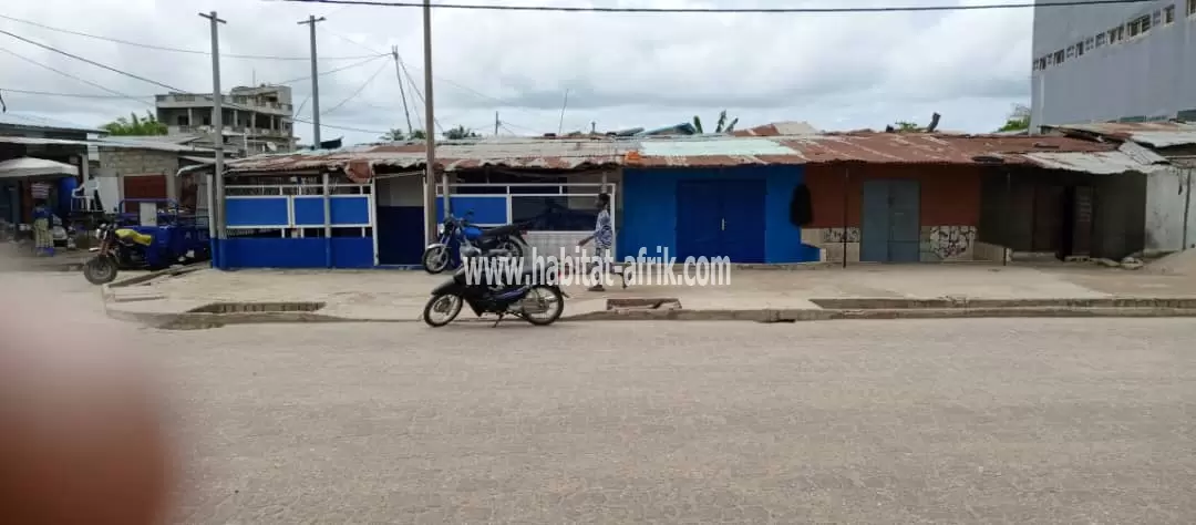 PARCELLE AU BORD DES PAVÉS EN ANGLE DE RUE À DEKOUNGBÉ 