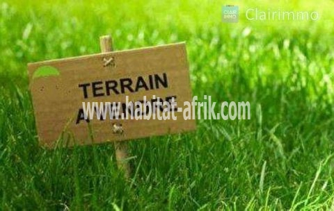 Terrain en vente