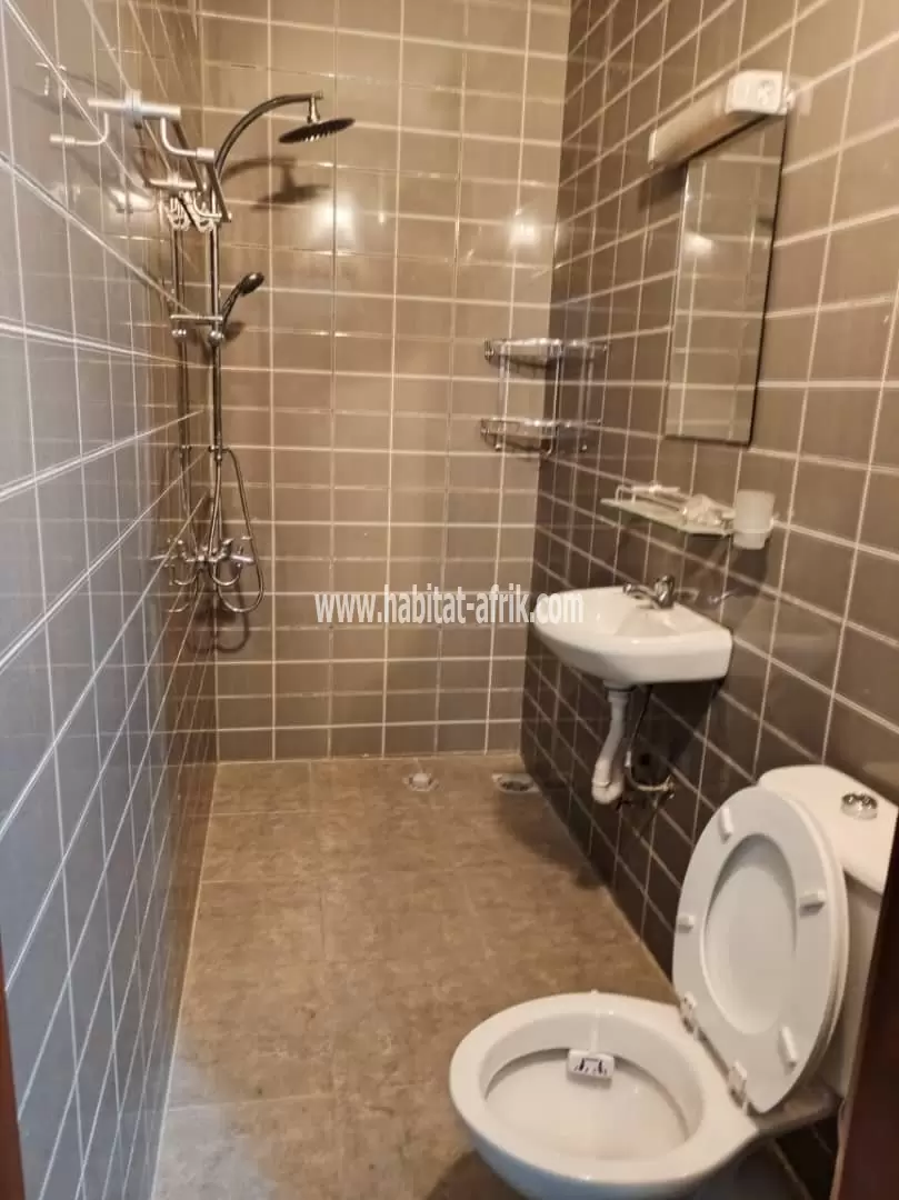 Je mets en location un appartement meublé de deux (2) chambres salon équipée scindé à l’étage situé à avedji cito 100m du goudron Lome togo 