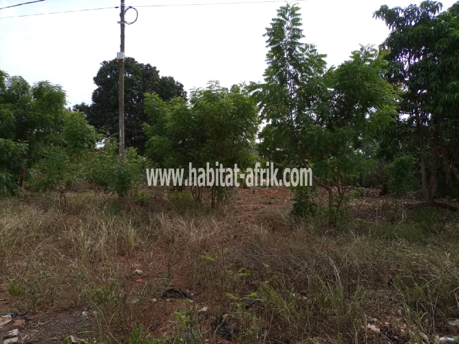 4 lots collé à Agoe sogbossito (+22892140371/+22898907649)