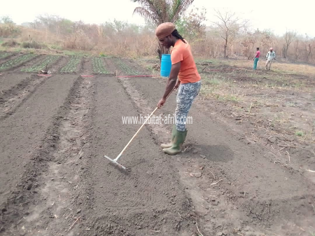 terrain agricole en vente