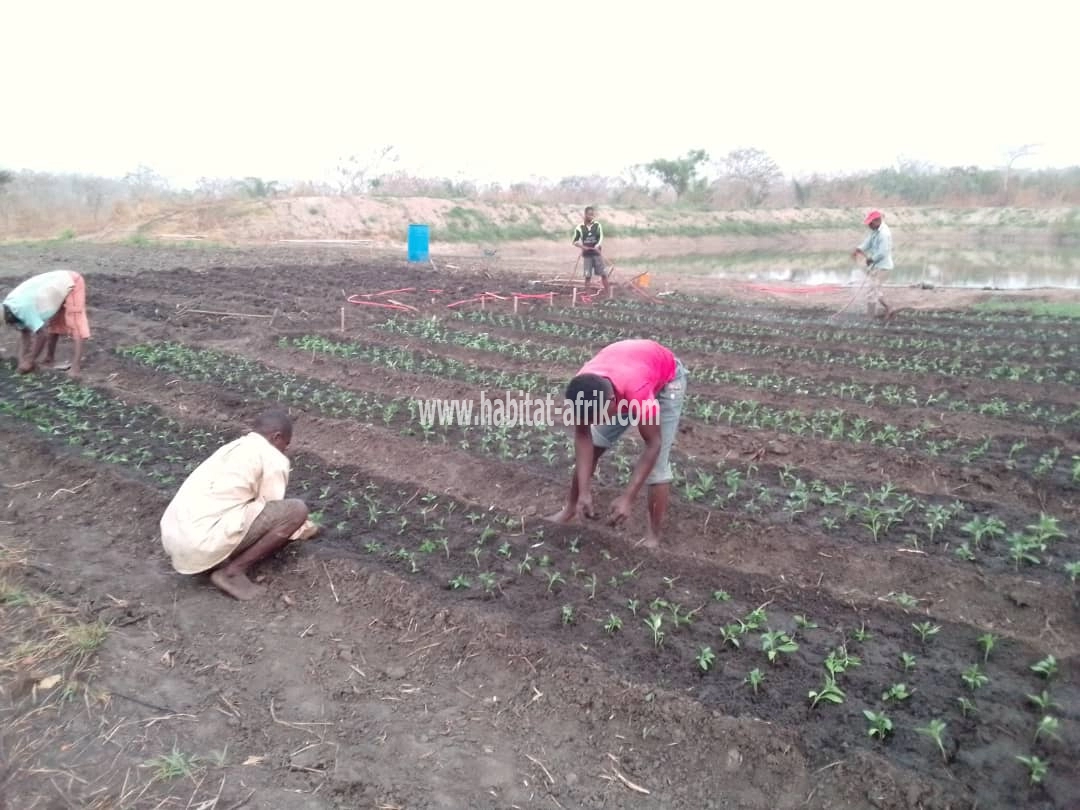 terrain agricole en vente