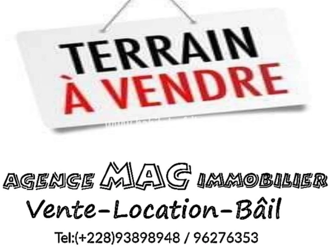 Vente Terrain 12 lot collé 7200 Metres Carré demi lot à 35 millions le lot