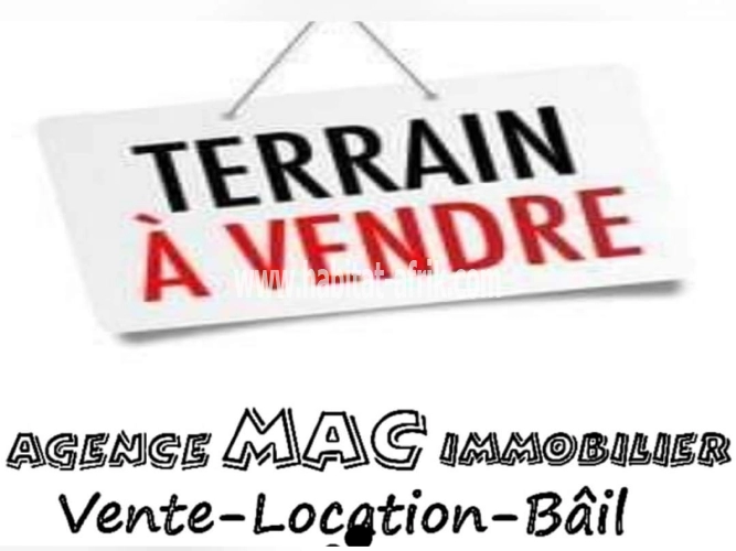 Terrain Agricole en vente avec notre  agence avec pour document titre foncier 