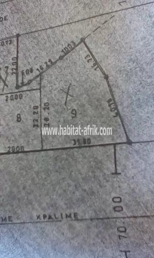 Terrain à vendre 900 mètre carré soit 1 lot et demi à zanguera face goudron Lomé-Togo 