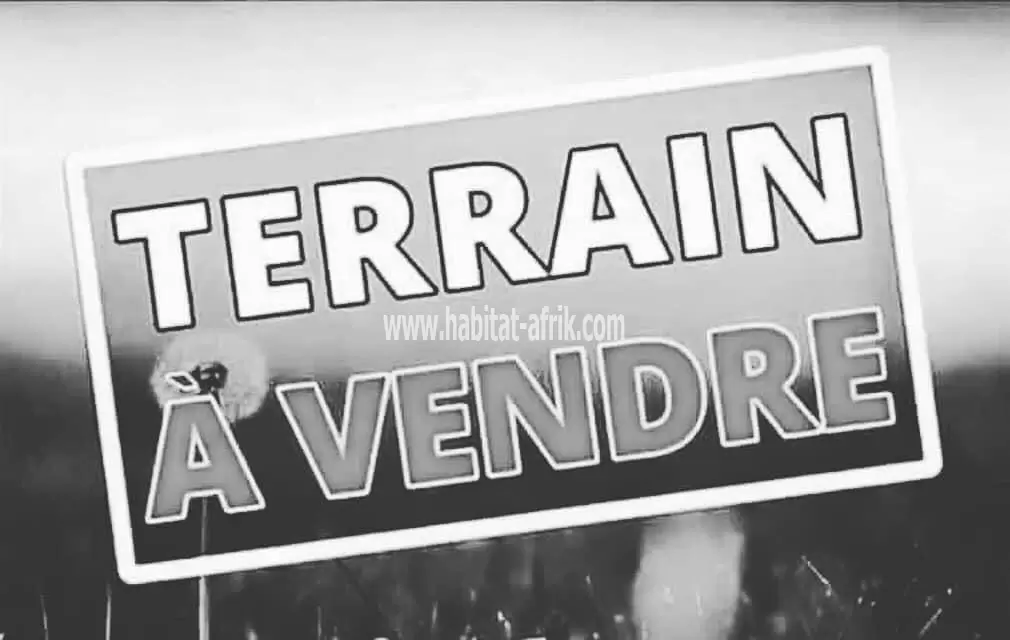 Terrain à vendre un lot 600 mètres carrés située à totsi lomé togo 