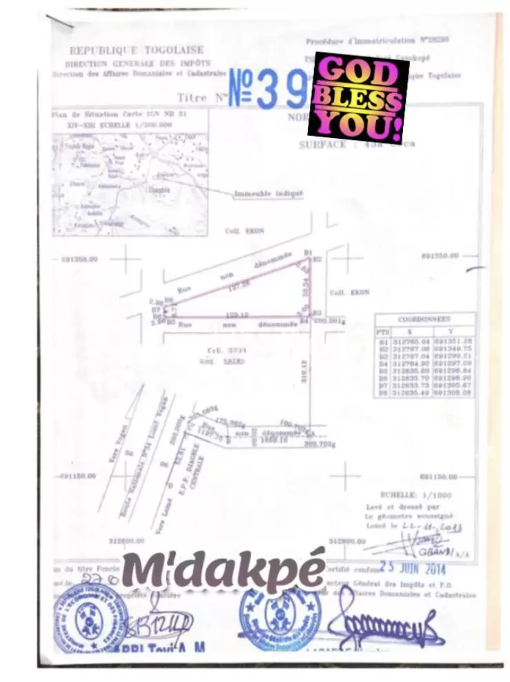 JE METS EN VENTE 3 HECTARES SÉPARÉS PAR UNE RUE AVEC LEURS TITRES FONCIER SITUÉ À DJAGBLÉ ABOLAVE LOME TOGO