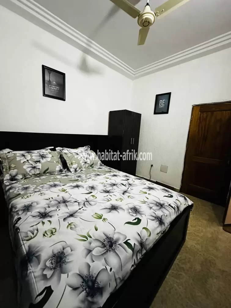 JE METS EN LOCATION UN APPARTEMENT MEUBLÉE DE CHAMBRE SALON A ADIDOGOME MADIBA RAIL LOME 