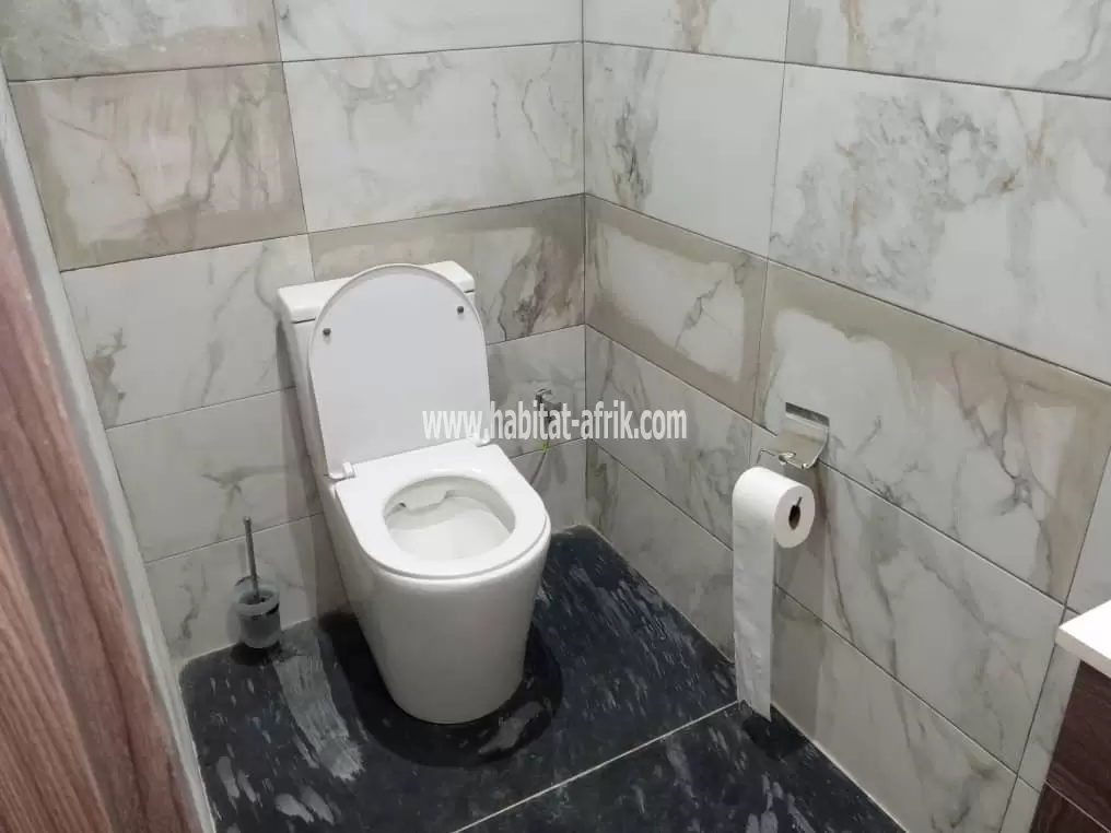 JE METS EN LOCATION UNE MAISON MEUBLÉE DE TROIS CHAMBRES JARDIN A ADIDOGOME CITÉ MOKPOKPO LOME TO