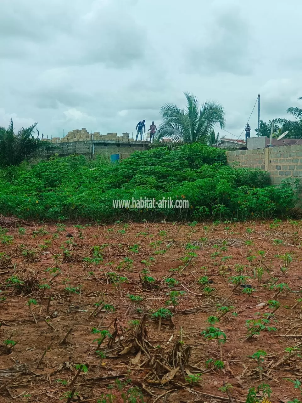 JE METS EN VENTE UNE PARCELLE DE TERRAIN UN (1) LOT À 1km DU GOUDRON LOME TOGO