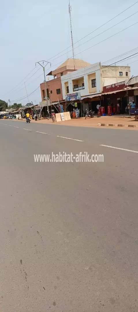 Je mets en vente une parcelle de terrain demi lot à déduire d’un lot en bordure du goudron SEGBÉ douane Lomé togo