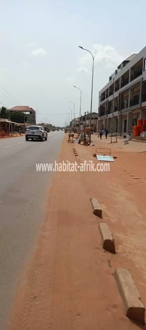 Je mets en vente une parcelle de terrain demi lot à déduire d’un lot en bordure du goudron SEGBÉ douane Lomé togo