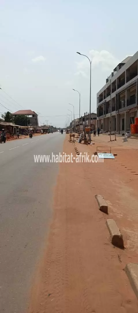 Je mets en vente une parcelle de terrain demi lot à déduire d’un lot en bordure du goudron SEGBÉ douane Lomé togo