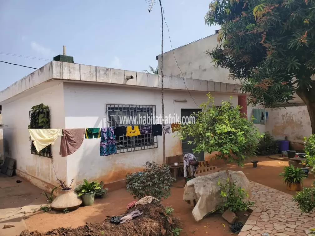 MAISON À VENDRE AVEC TITRE FONCIER SUR DEMI LOT 300 MÈTRES CARRÉ À ATSIÉGOU 70 MÈTRES DU GOUDRON LOME-TOGO 