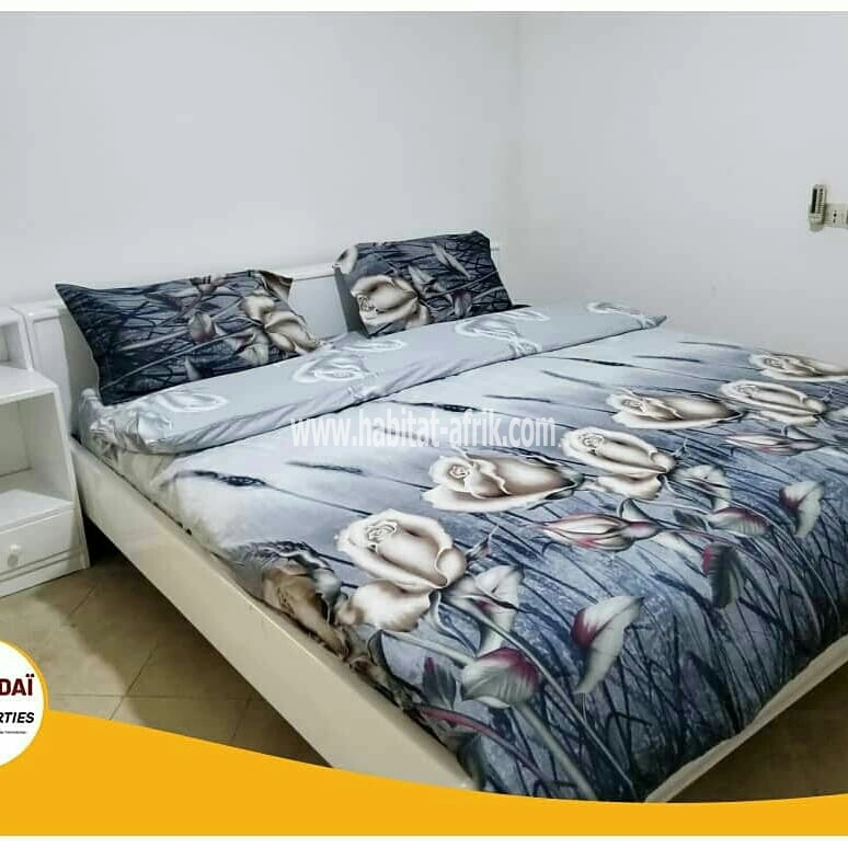 Location d'un appartement meublé / climatisé à la Caisse (Résidence du Bénin)