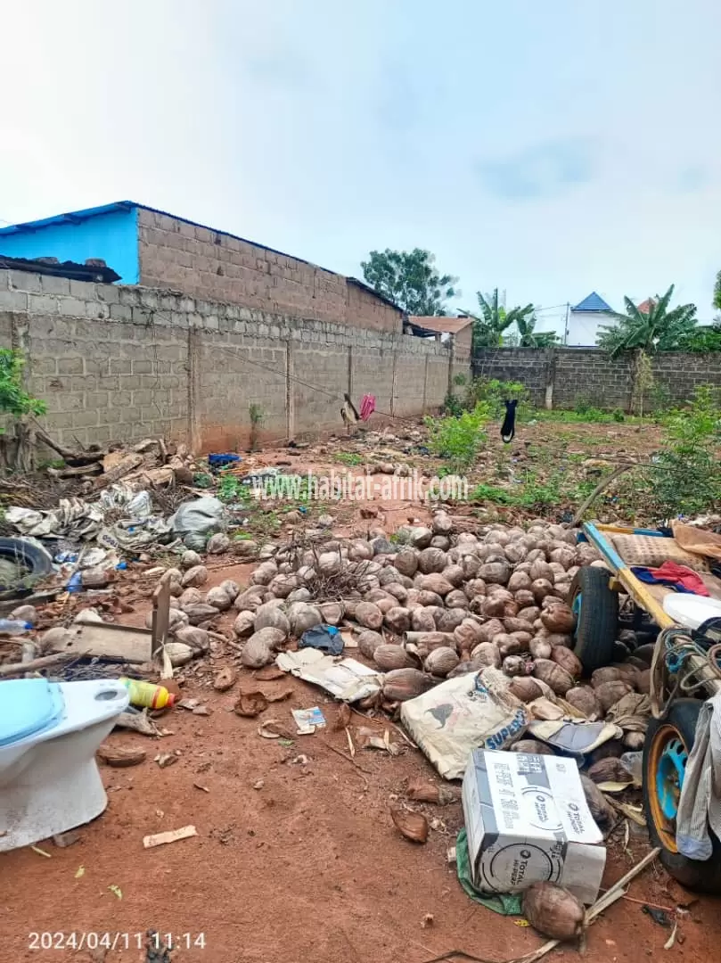 Je mets en vente une parcelle de terrain un lot clôturé avec titre foncier à adidogome amadanhome foyer des jeunes lome togo